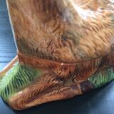 Empty pocket deer in dabbling
