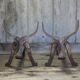 Chenets de cheminée en fonte brutaliste zoomorphe tête de taureau