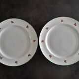 2 assiettes aux motifs de cerises