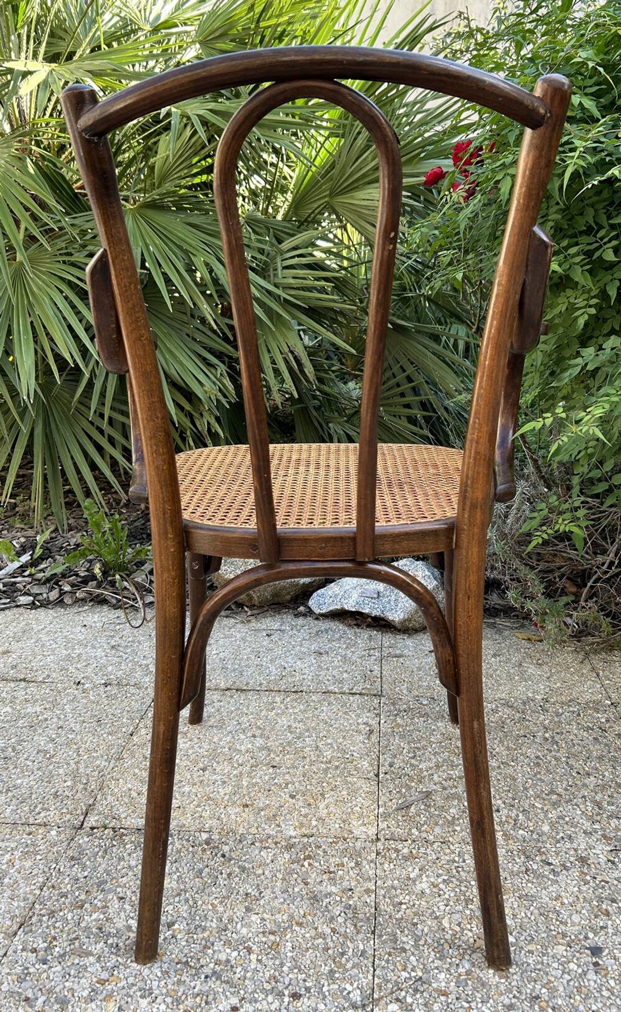 Fauteuil bois courbé canné Baumann, 1900
