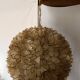 Capiz mother-of-pearl chandelier for Rausch, 1960s