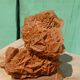 Rose des sables sur socle