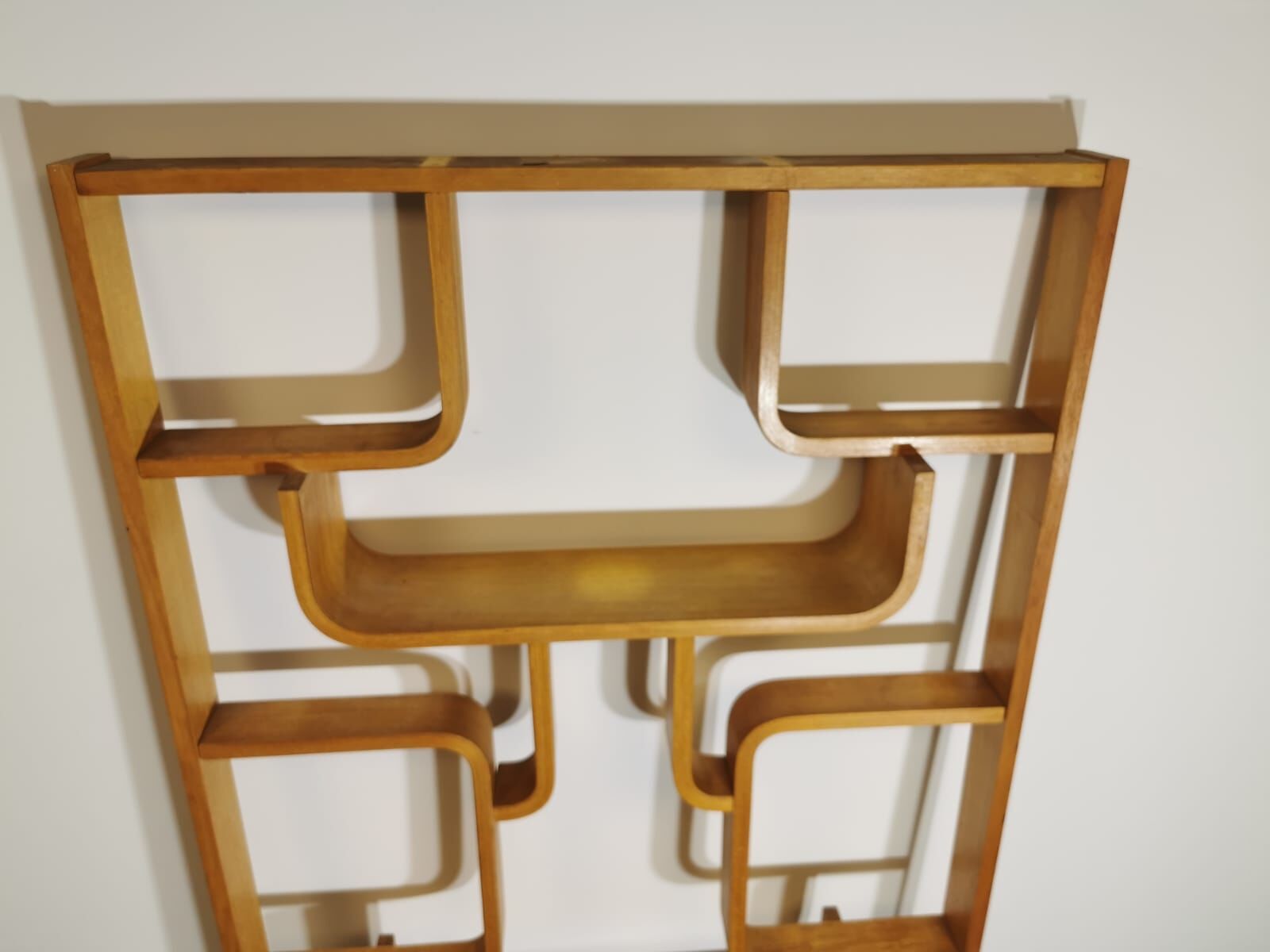 Room Divider by Ludvik Volak for Drevopodnik Holesov