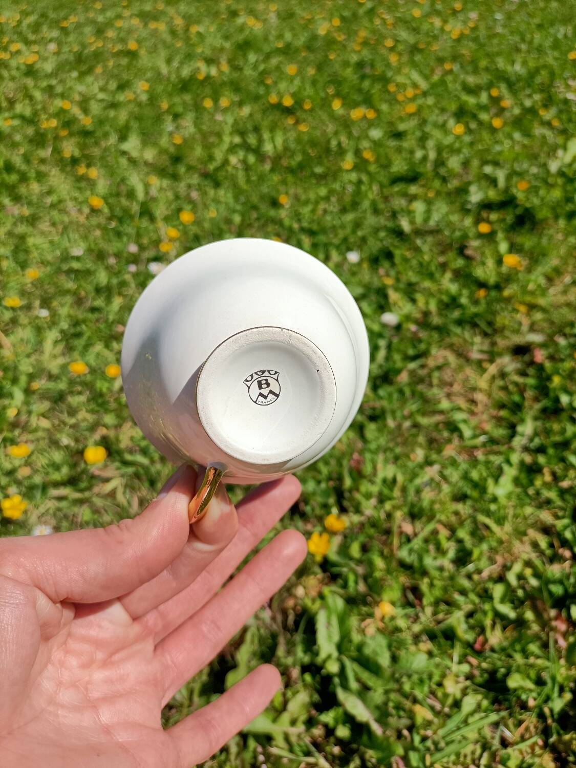 Tasses x6 - Porcelaine de Limoges