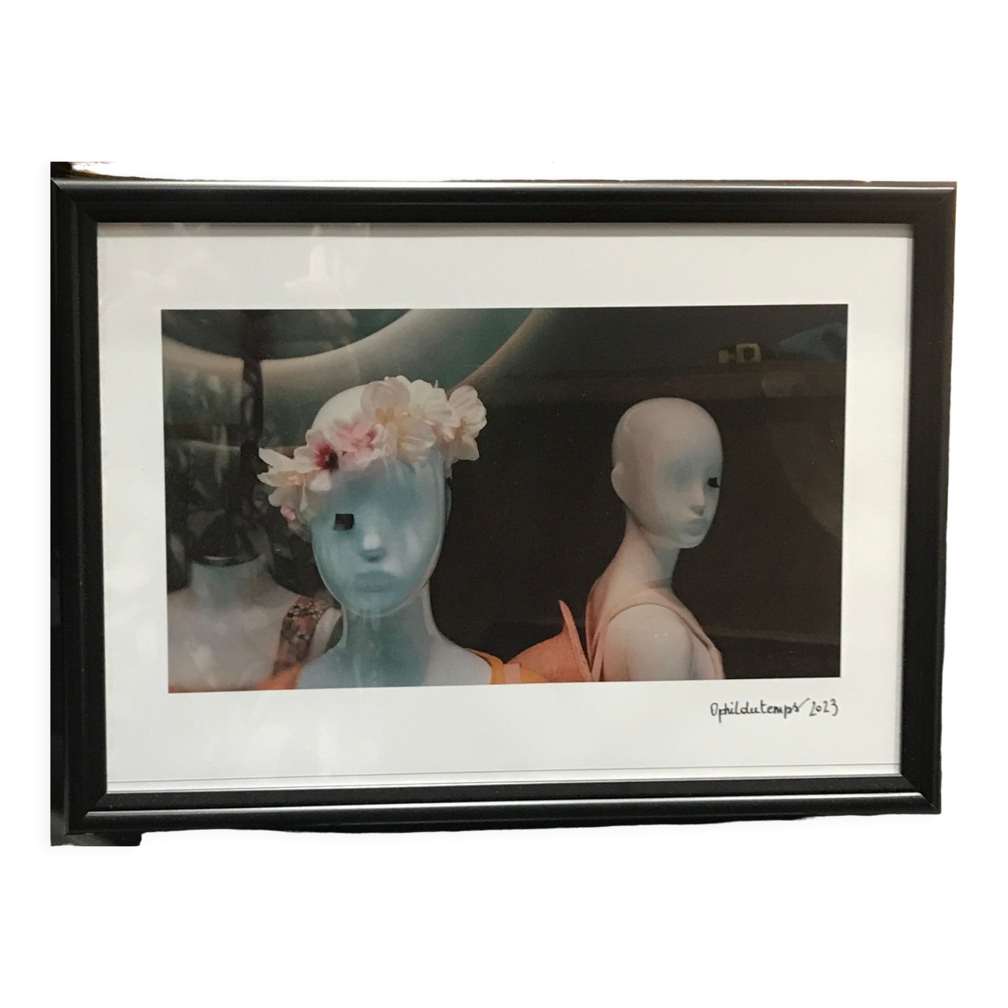 Photo mannequins showcase woman color large model