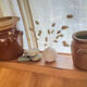Ancient ceramic salt cellar and its lid.