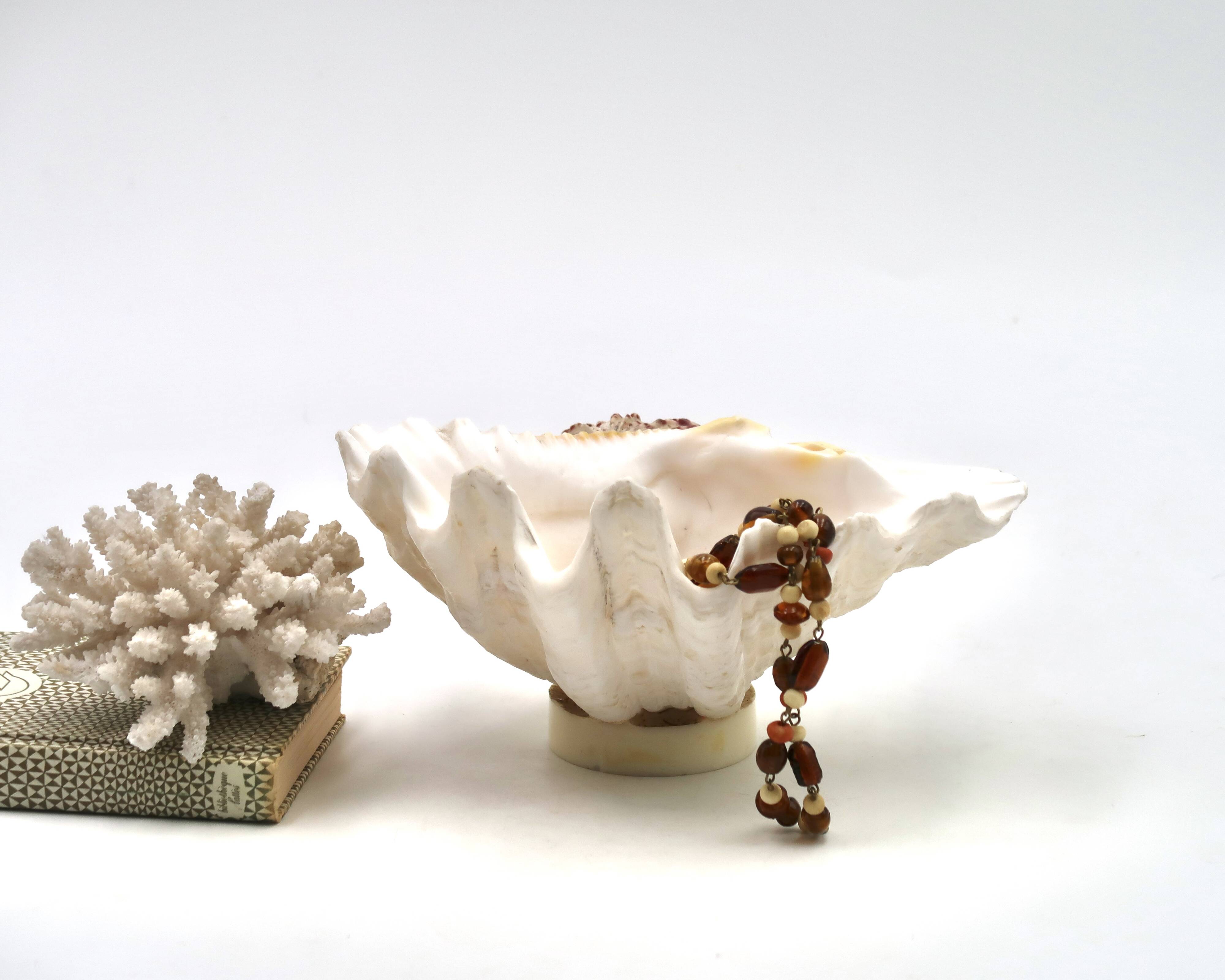 Natural shell catchall, 1970s.