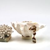 Natural shell catchall, 1970s.