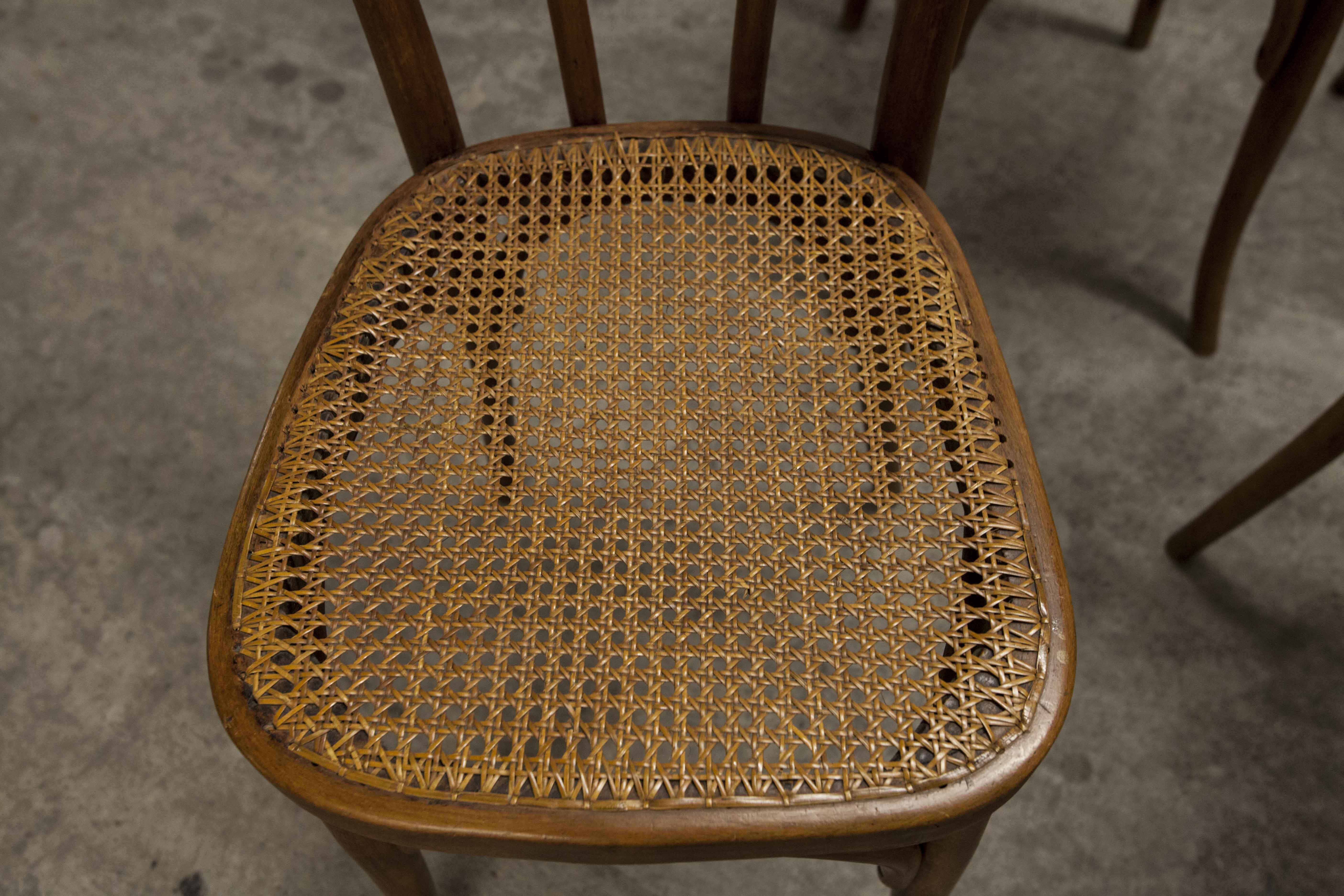 Set of 6 chairs bistro j&j kohn 1900 seat cannage
