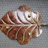 Empty Pocket Big Leaf