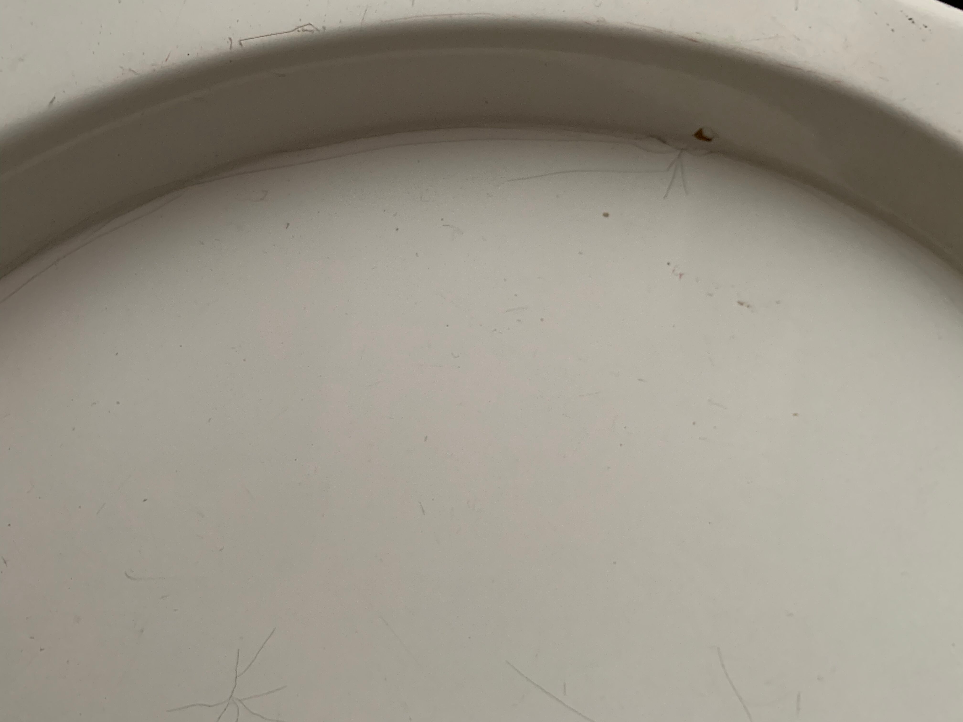 Fiberglass coffee table