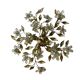 Crystal Flower Tole Flushmount 