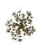 Crystal Flower Tole Flushmount 