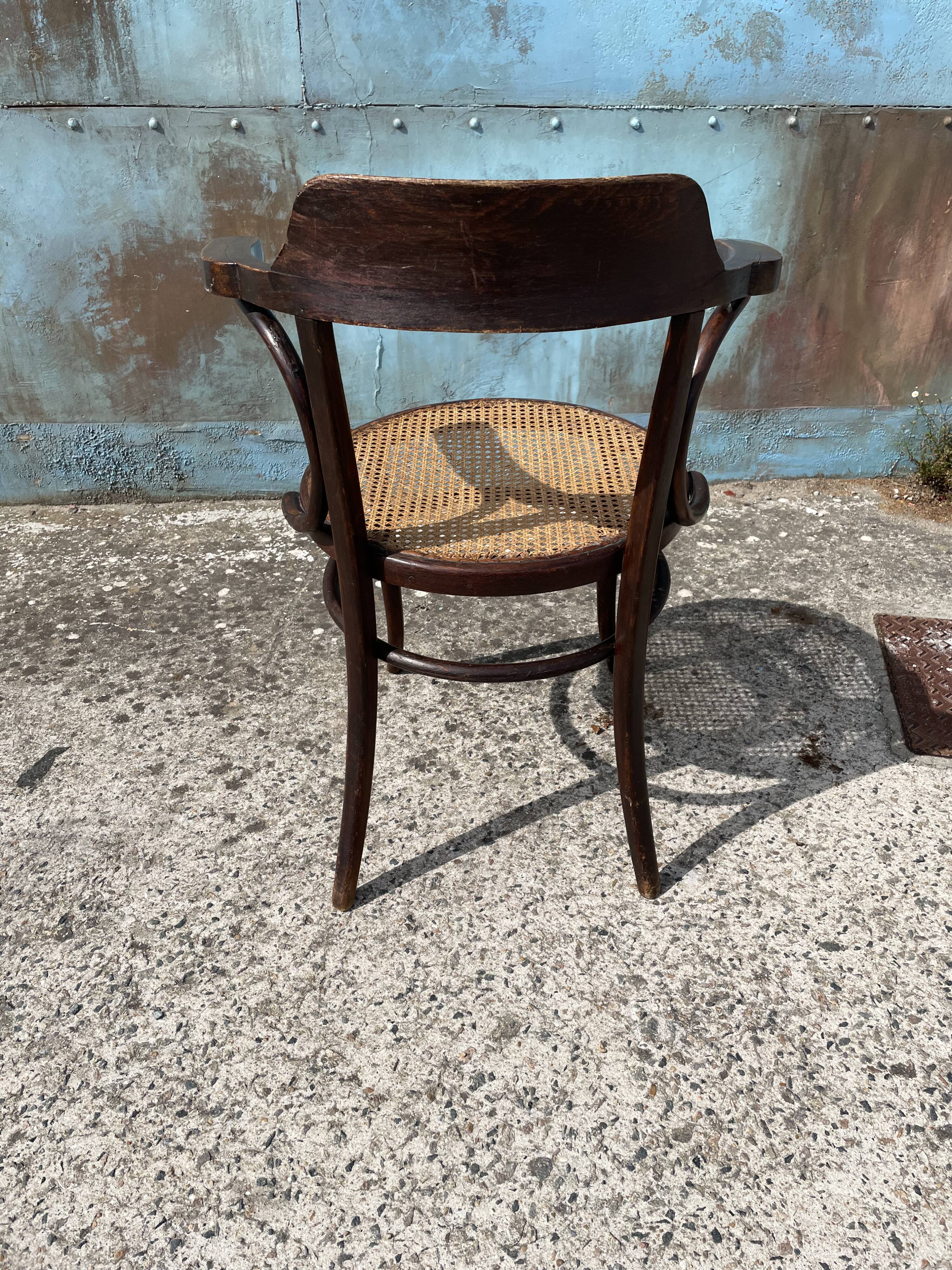 Canned office chair MUNDUS 1900