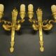 Pair of large wall sconces, torch and swans, Empire style - gilded bronze