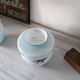 Paire de vases vintages en opaline bleue