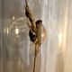Curiosity - crabe medallion sous cloche de verre