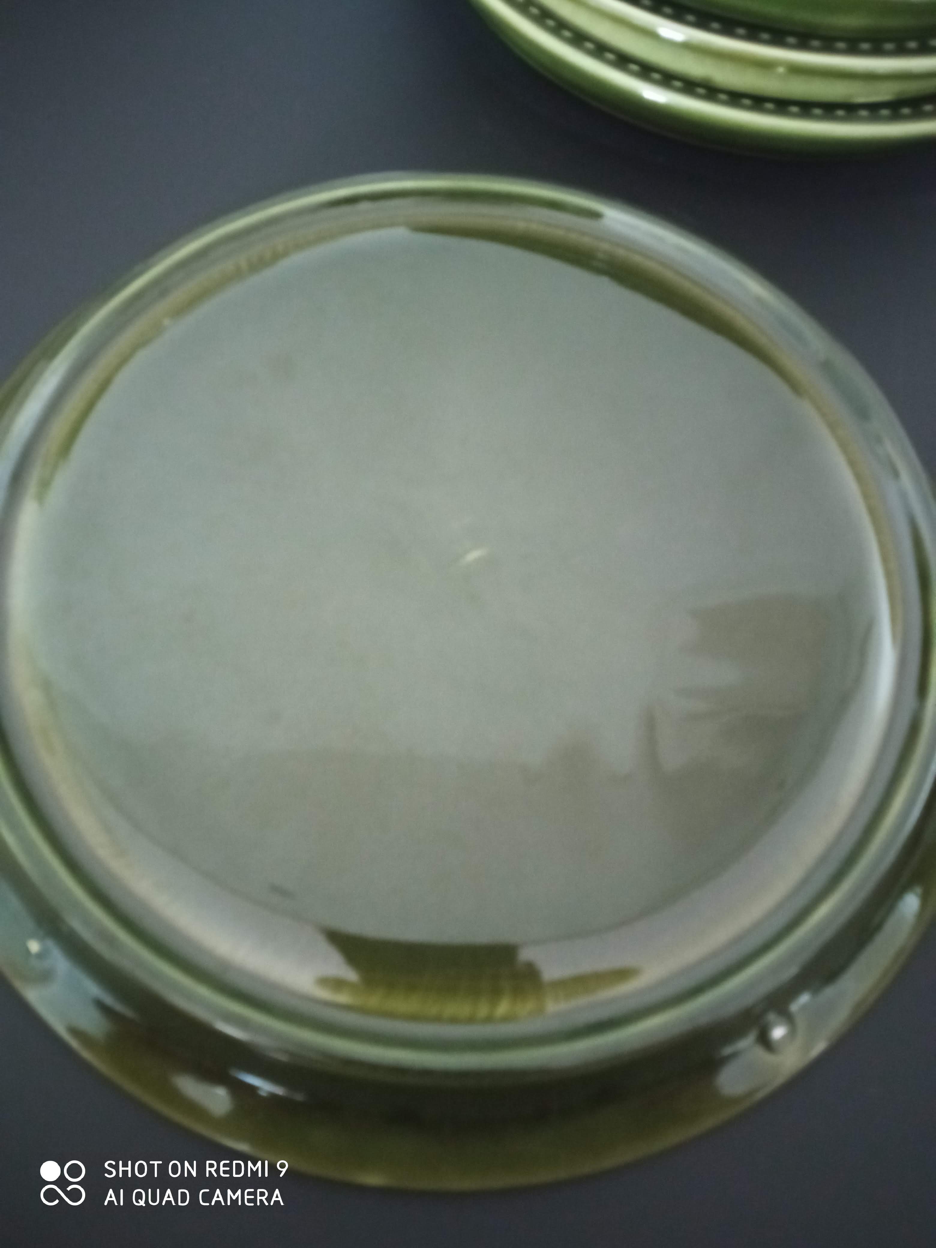 6 old plates with fondue / raw vegetables