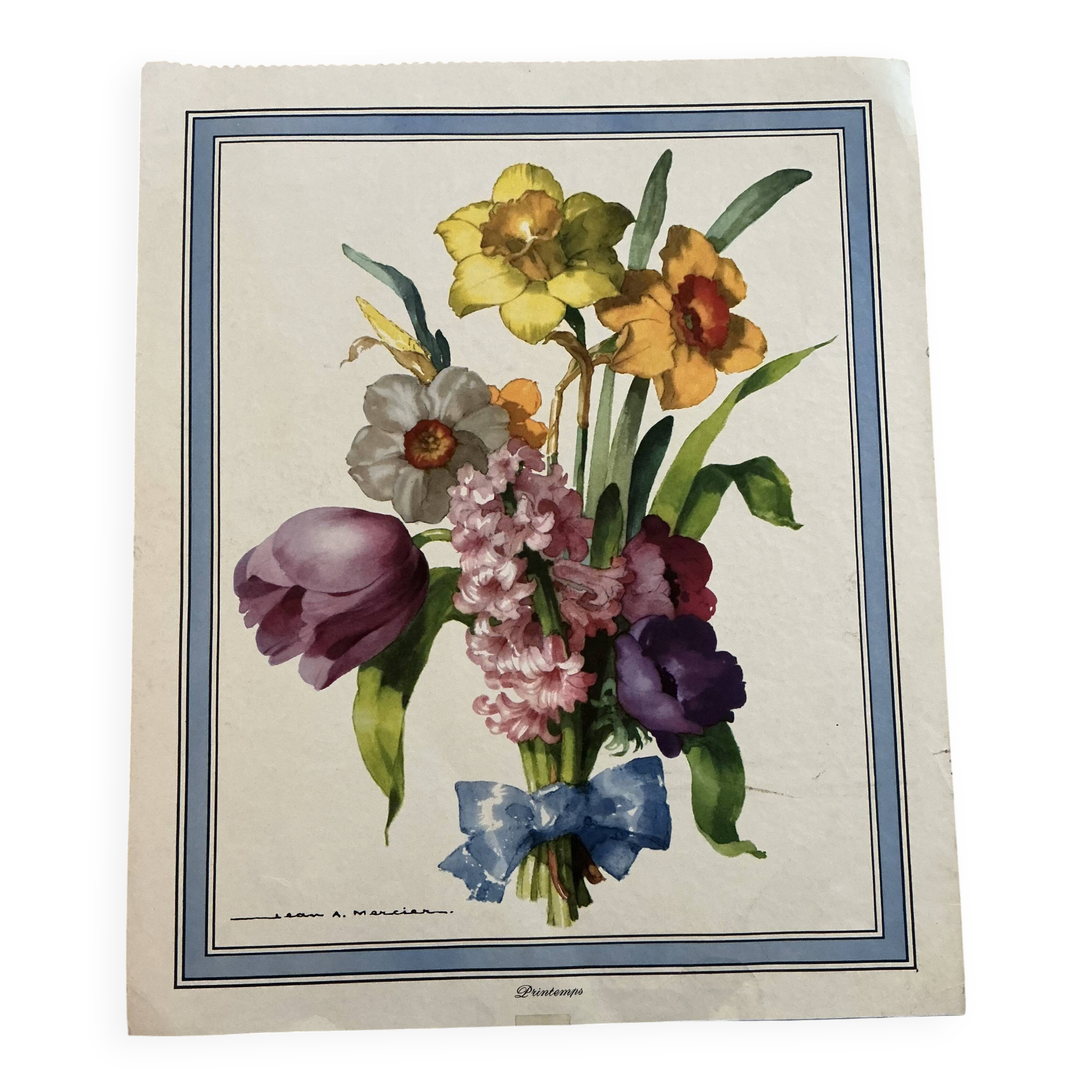 Illustration florale ancienne.