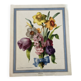 Illustration florale ancienne.