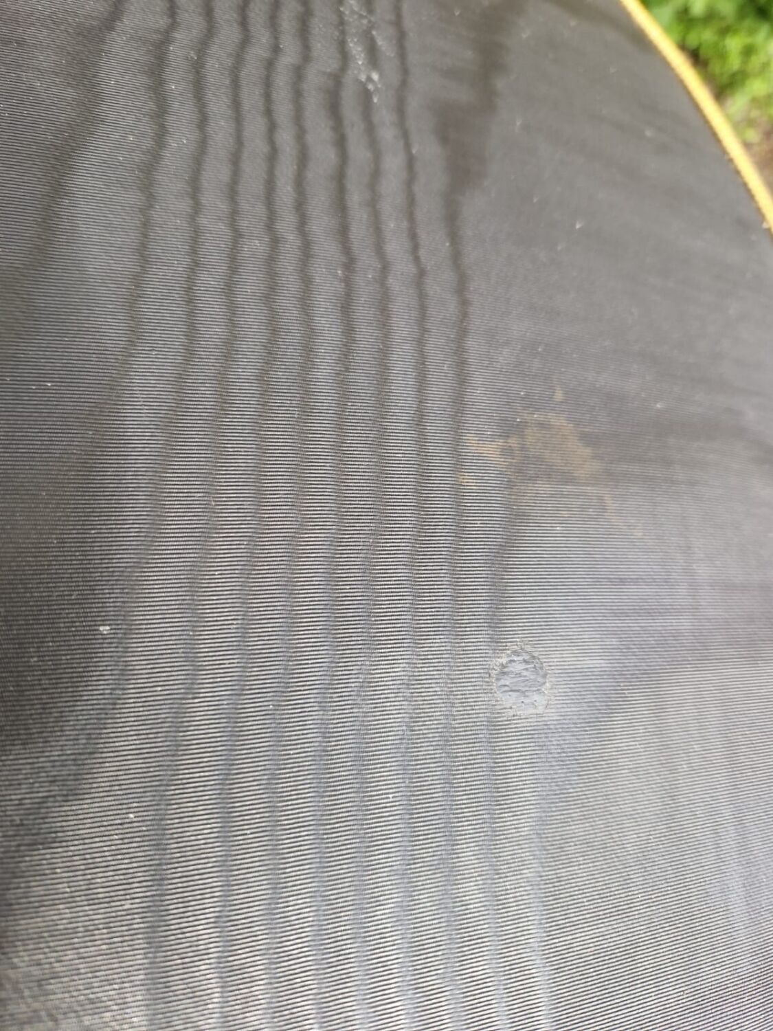 Pair of armchairs 1950