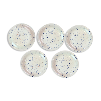 5 plates in English earthenware John Tams