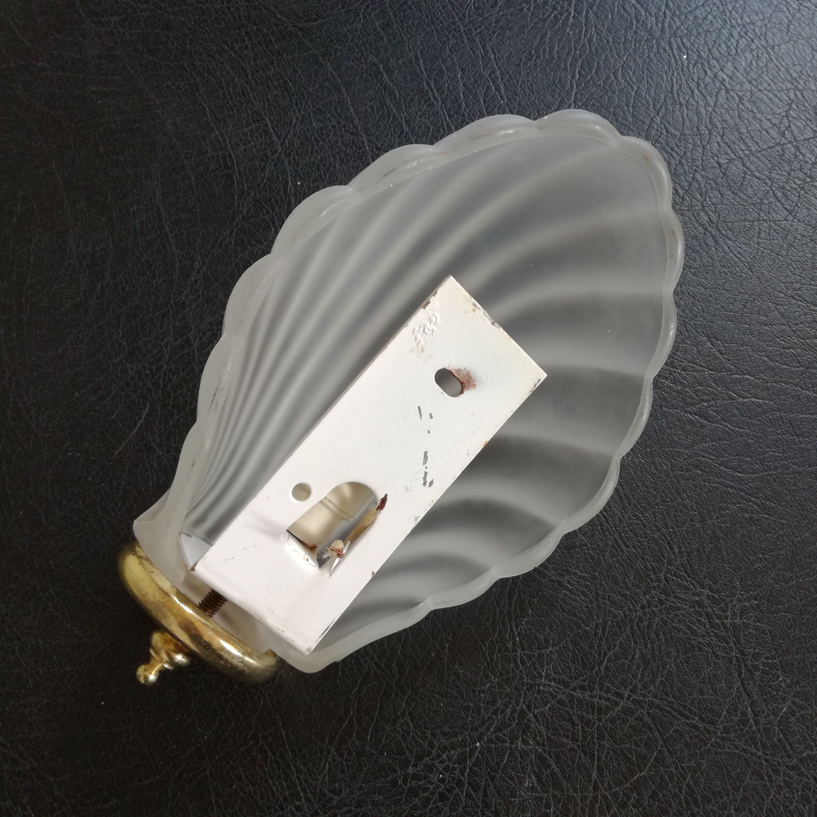 Glass shell sconce