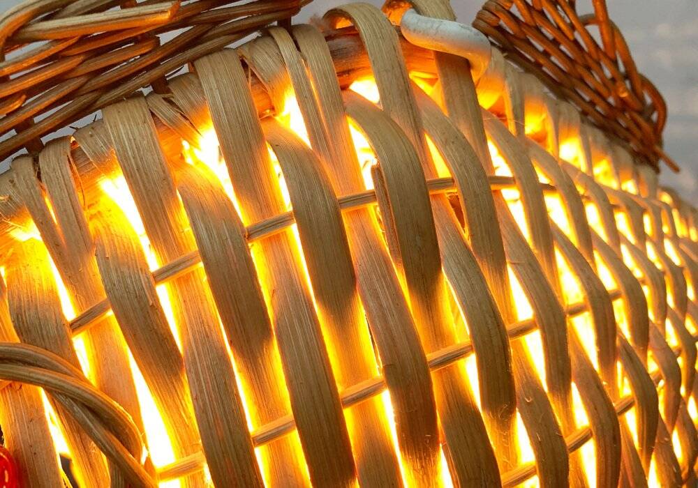 Suspension Poisson of the Mid-Century, 1960s