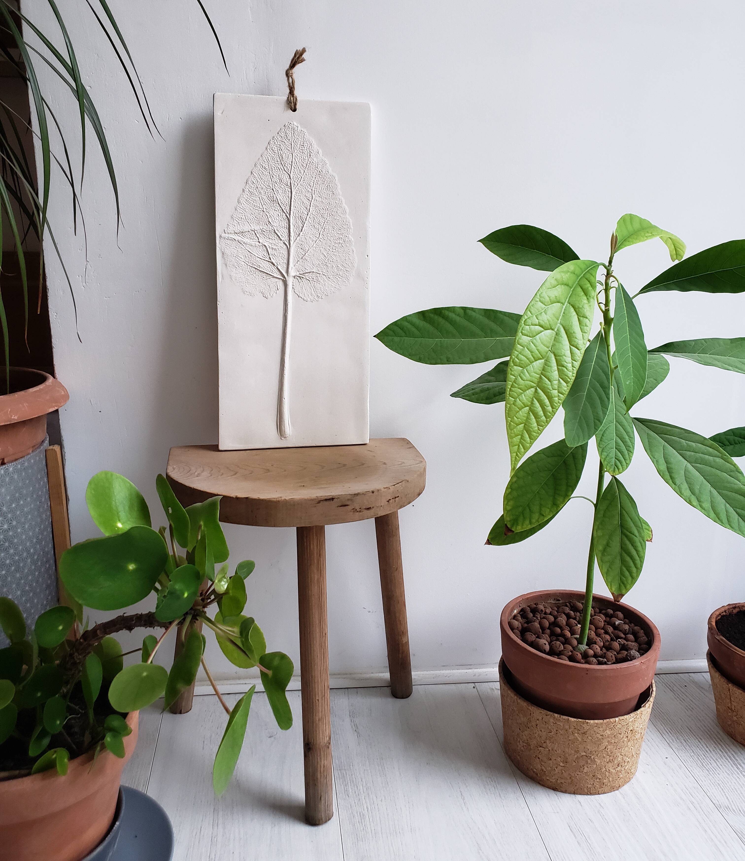 Plaster plant footprint