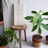 Plaster plant footprint