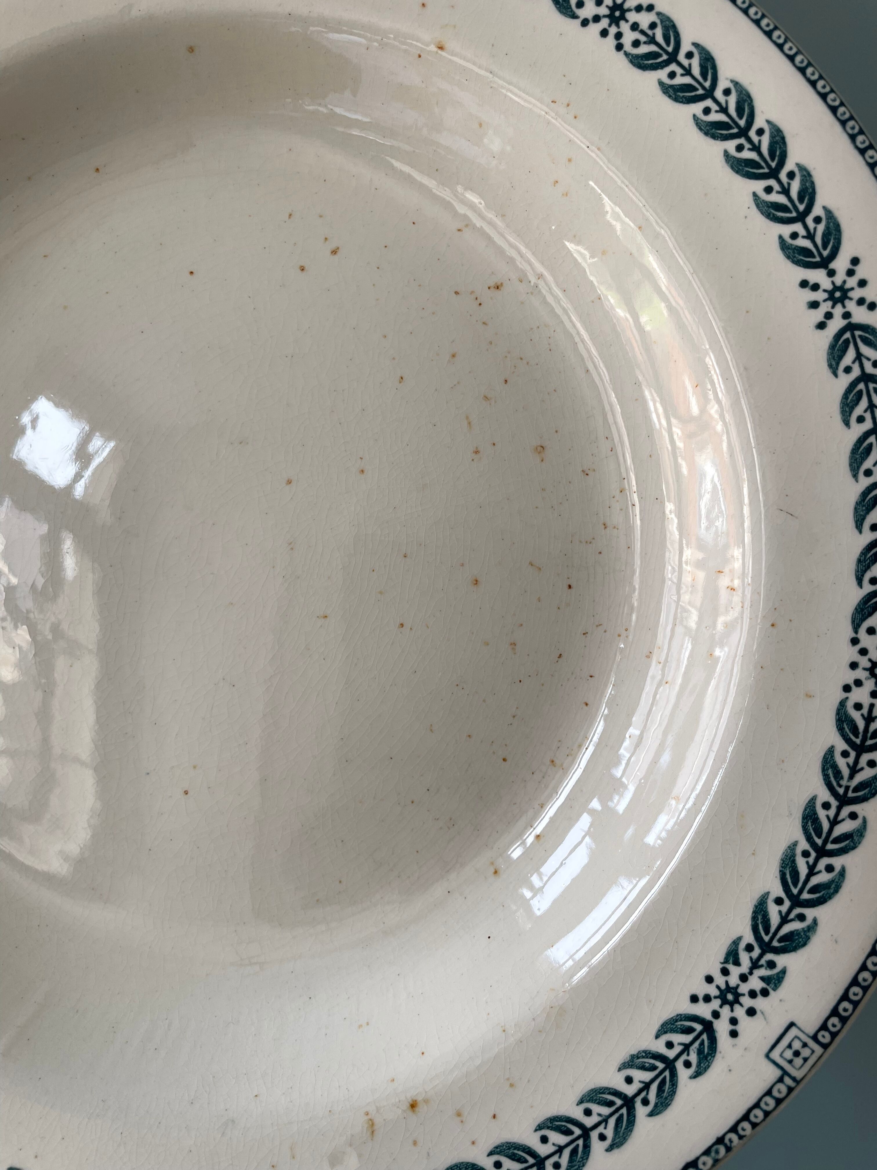 Set of 11 hollow plates Terre de Fer, Service Condé, Salins