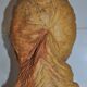 Original terracotta woman head