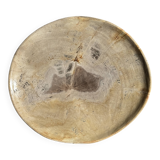 Petrified wood catchall or dish, beige with a brown spot in the centre, D24-27 -377.
