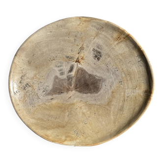 Petrified wood catchall or dish, beige with a brown spot in the centre, D24-27 -377.