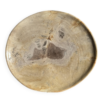 Petrified wood catchall or dish, beige with a brown spot in the centre, D24-27 -377.