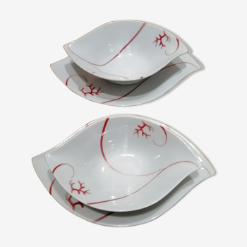 Salad bowl + coral plate porcelain