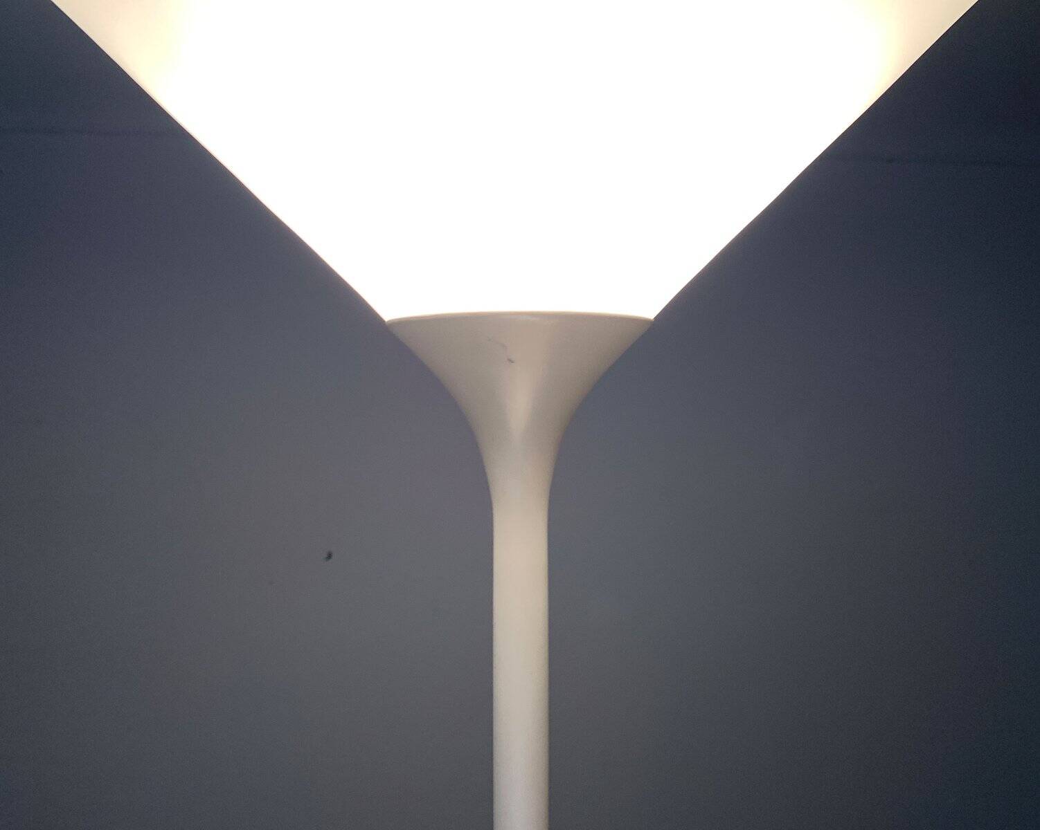 Swiss minimalist floor lamp from the mid-century by Temde, 1960s.