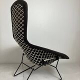 Bird Model Armchair by Harry Bertoia for Knoll, 1970s