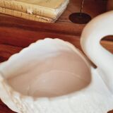 Swan pocket empty