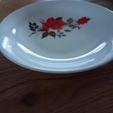Lot de 4 assiettes à soupe Arcopal