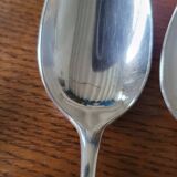 10 silver plated table spoons