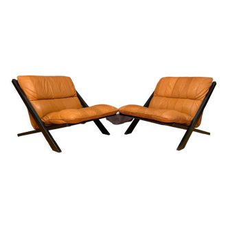 Paire de fauteuils par Ueli Berger, De Sede, Suisse, années 1970.