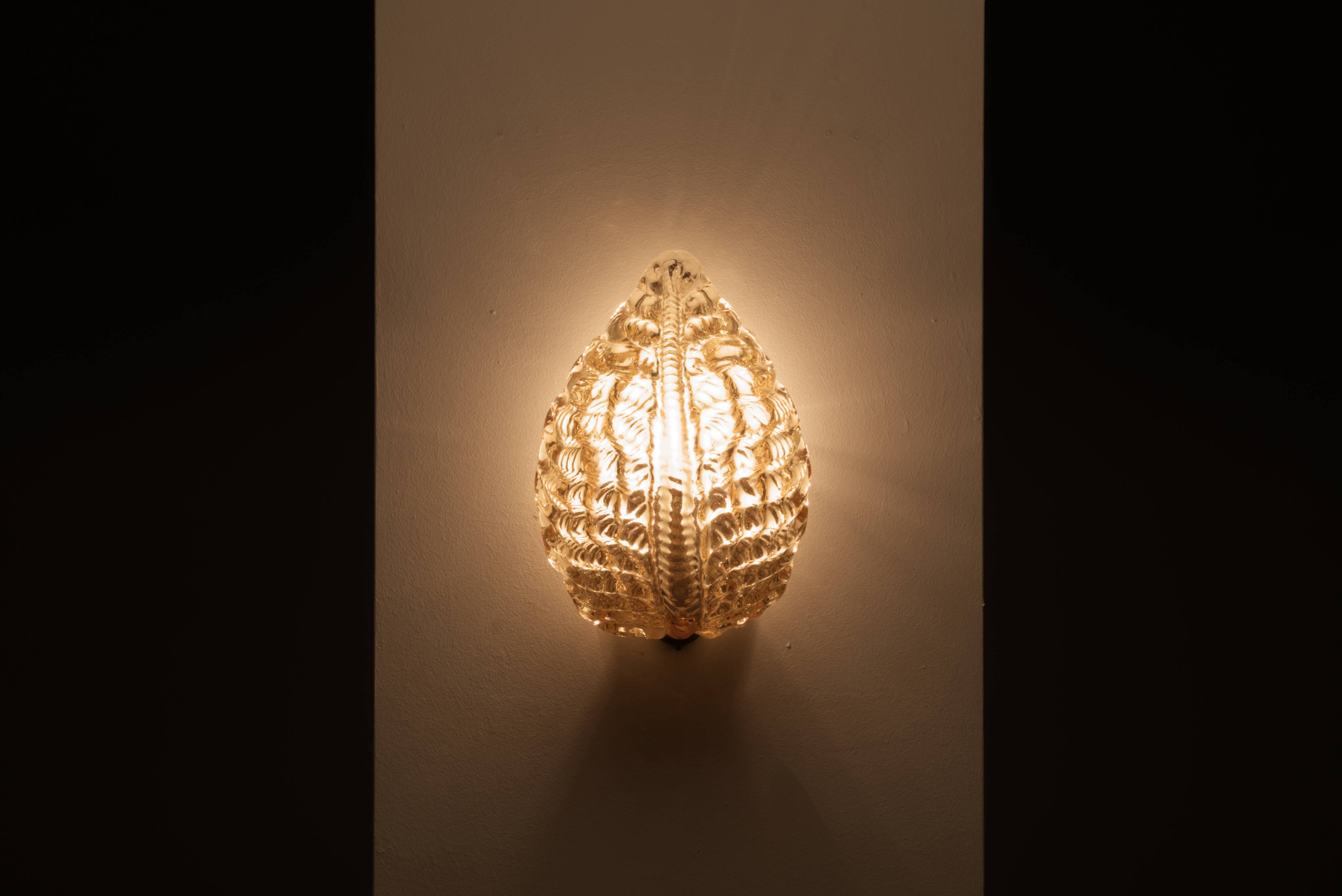 Carl Fagerlund seashell wall lamp