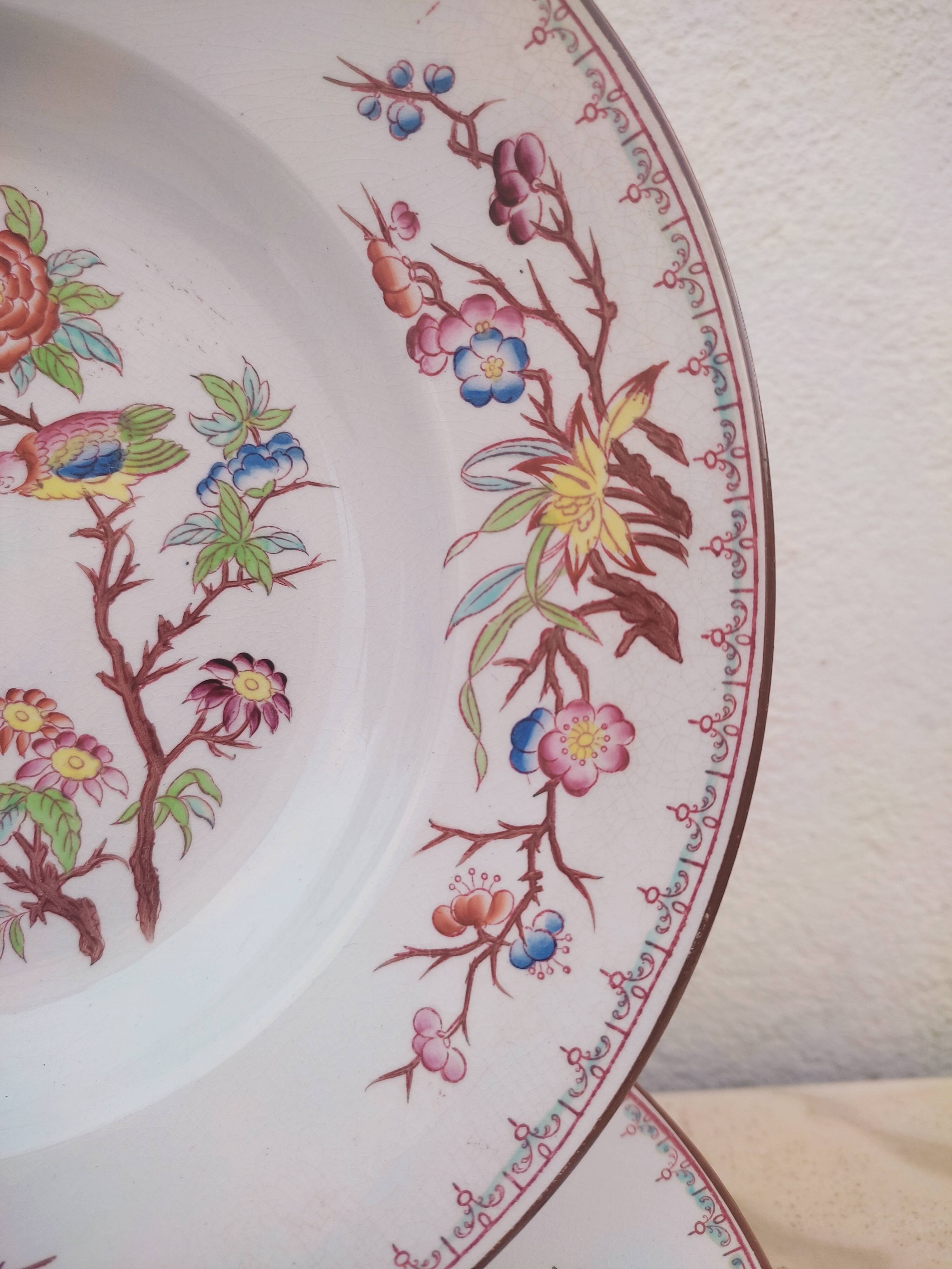 6 hollow plates Sarreguemines décor Minton