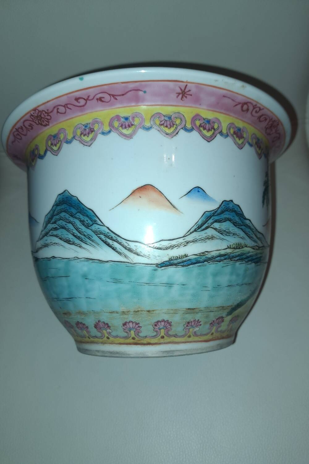 Hidden Chinese porcelain pot. Rose Family.