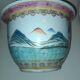 Hidden Chinese porcelain pot. Rose Family.