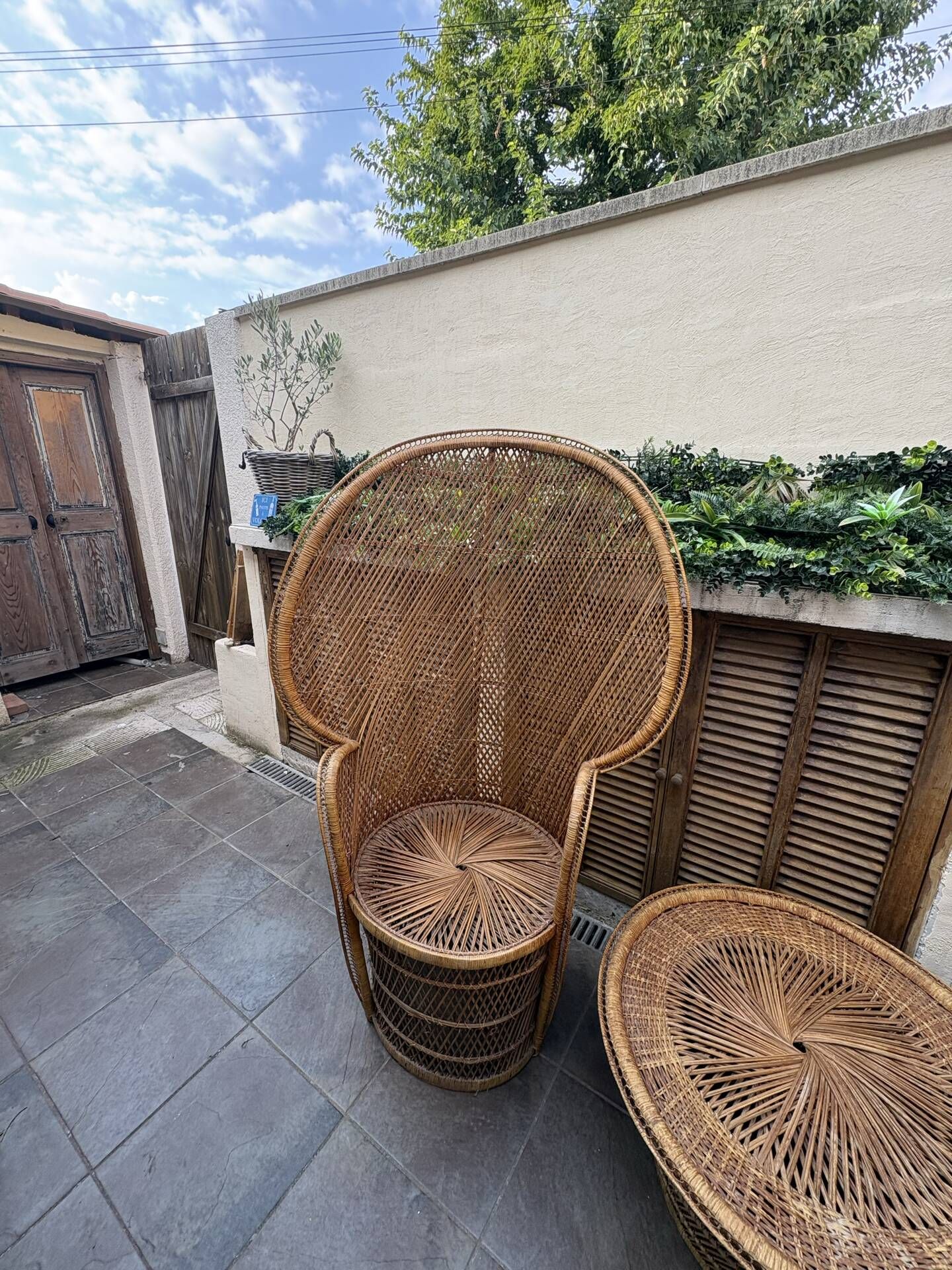 Emmanuelle armchair