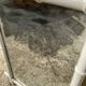 Wooden mirror old bamboo style vintage white ice mercury