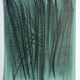 Hans HARTUNG, L 127, 1964 (RMN 205). Original lithograph