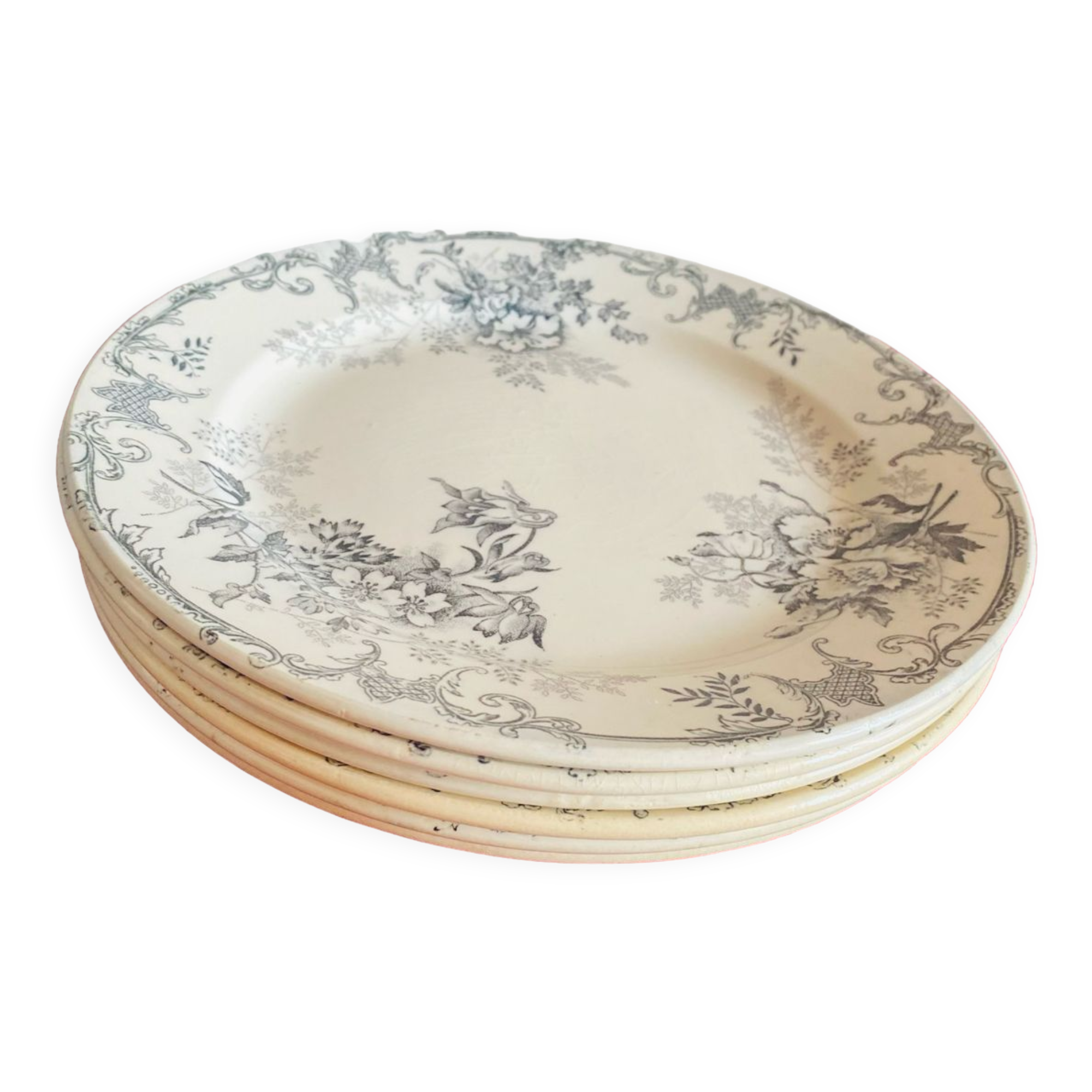 Service of 6 plates Terre de Fer